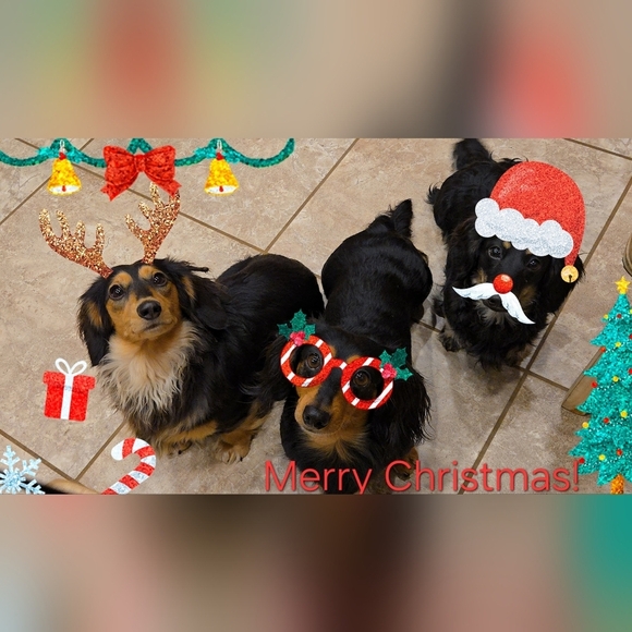 HAPPY HOWLIDAYS | NWT Dog Christmas Sweater in White/Red sz S - Picture 8 of 8